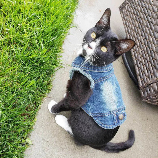 Fashion Cat Denim Vest Puppy Jacket Casual Jeans Coat Outfits Spring Autumn Cat Clothes For Kitten Small Medium Cats Pet Apparel