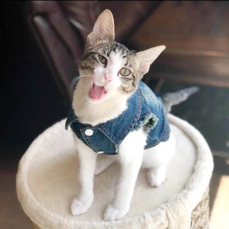 Fashion Cat Denim Vest Puppy Jacket Casual Jeans Coat Outfits Spring Autumn Cat Clothes For Kitten Small Medium Cats Pet Apparel