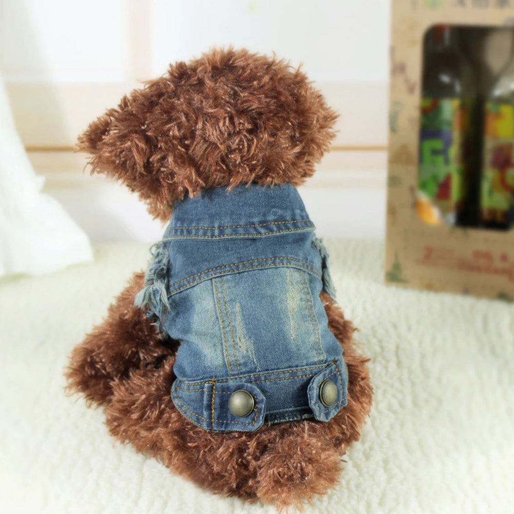 Fashion Cat Denim Vest Puppy Jacket Casual Jeans Coat Outfits Spring Autumn Cat Clothes For Kitten Small Medium Cats Pet Apparel