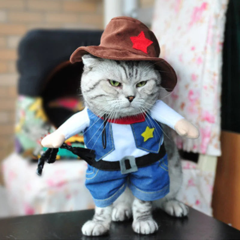 Funny Cat Clothes Pirate Suit Clothes For Cat Dog Costume Clothing Corsair Halloween Clothes Dressing Up Cat Party Costume Suit