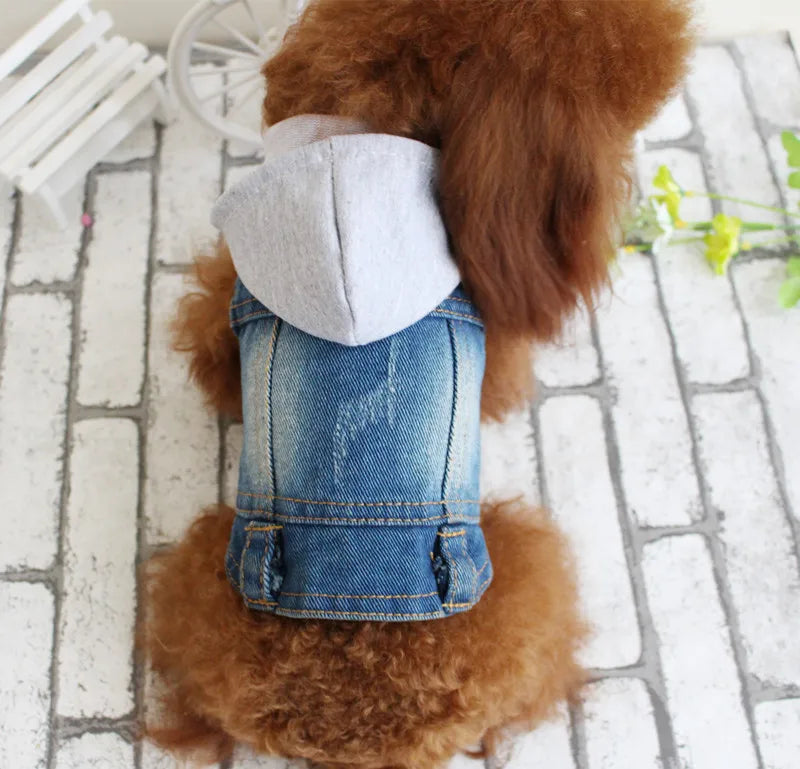 Fashion Cat Denim Vest Puppy Jacket Casual Jeans Coat Outfits Spring Autumn Cat Clothes For Kitten Small Medium Cats Pet Apparel