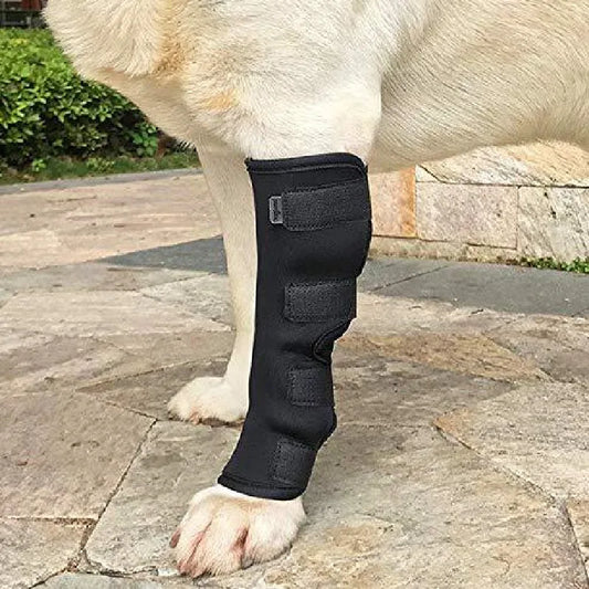 Pet Dog Leg Knee Brace Straps Protection for Leg Hock Joint Wrap Breathable Injury Recover Dog Leg Protector Support Parts