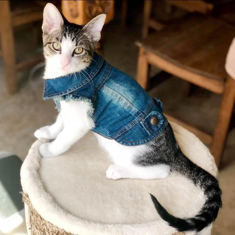 Fashion Cat Denim Vest Puppy Jacket Casual Jeans Coat Outfits Spring Autumn Cat Clothes For Kitten Small Medium Cats Pet Apparel