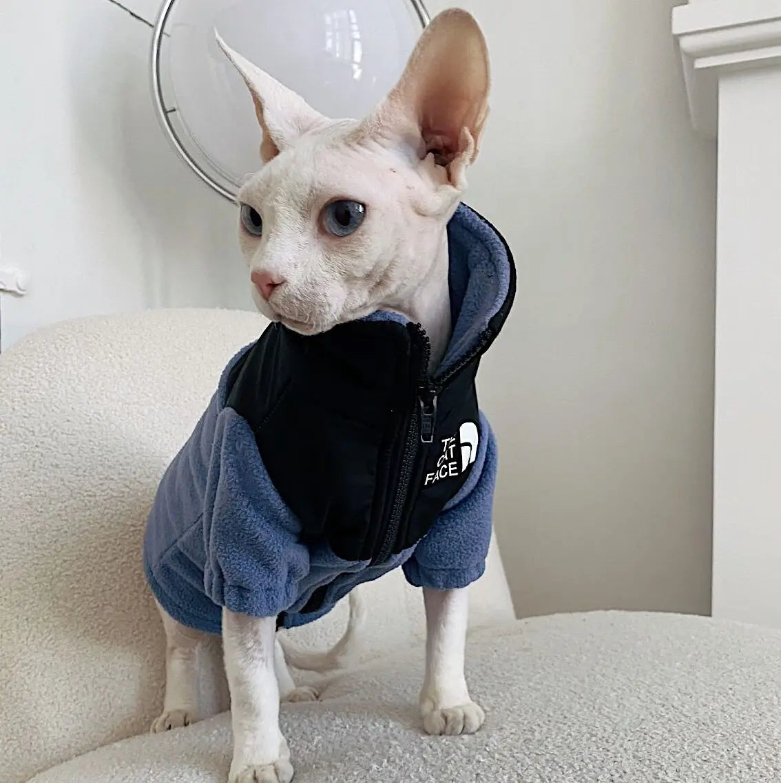 Luxury Winter Undershirt for Sphynx Cat Reflective Pet Clothes Reflective Pet Clothes Cat Jacket Devon Rex Sweatshirt in Autumn