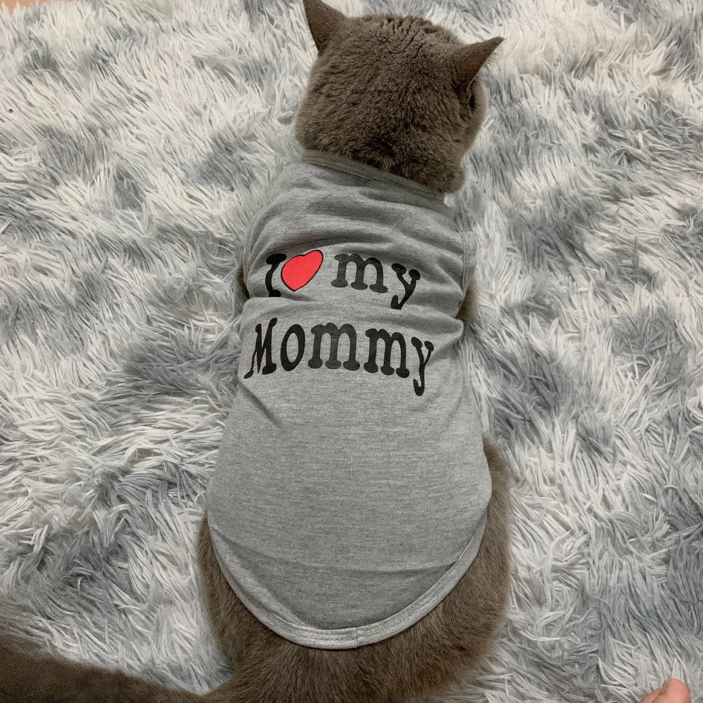 Lovely Pet Cat Clothes for Small Cats Dogs Summer Kitty Clothing Coat Soft Cotton Dog Shirt Yorkies Chihuahua Clothes for Cat 30