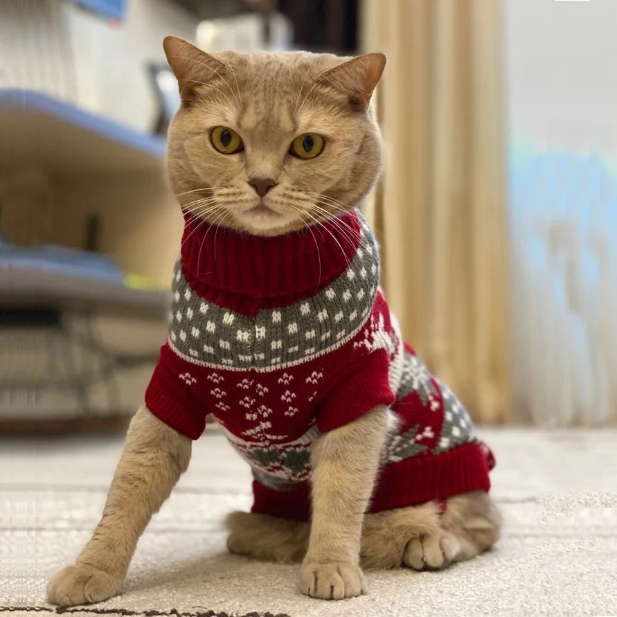 Cute Sphynx Cat Sweater Pullover Winter Warm Pet Clothes for Cats Kedi Kitten Costume Puppy Clothing Mascotas ropa para gatos