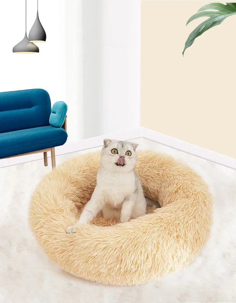 Cats Bed House Donut Round Sofa Supplies Winter Pet Accessories Warm Products Cushions Basket Kitten Mat For Cat Dog Beds