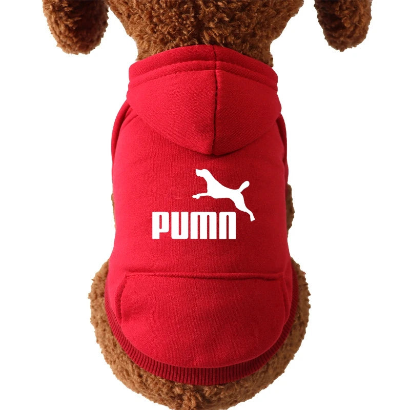 PUMN Pet Cat Hooded Sweater Thickened Warm For Winter Cat Clothes Kitty Small Dog Clothes