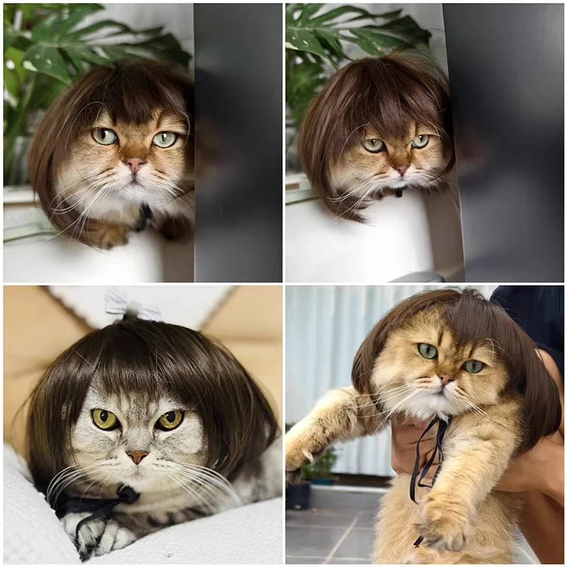 ﻿  Pet Wig,Cat Cosplay Props Curly Straight Hair,Puppy Costumes Supplies,Dog Creative Cross-Dressing Photography,Funny Prank