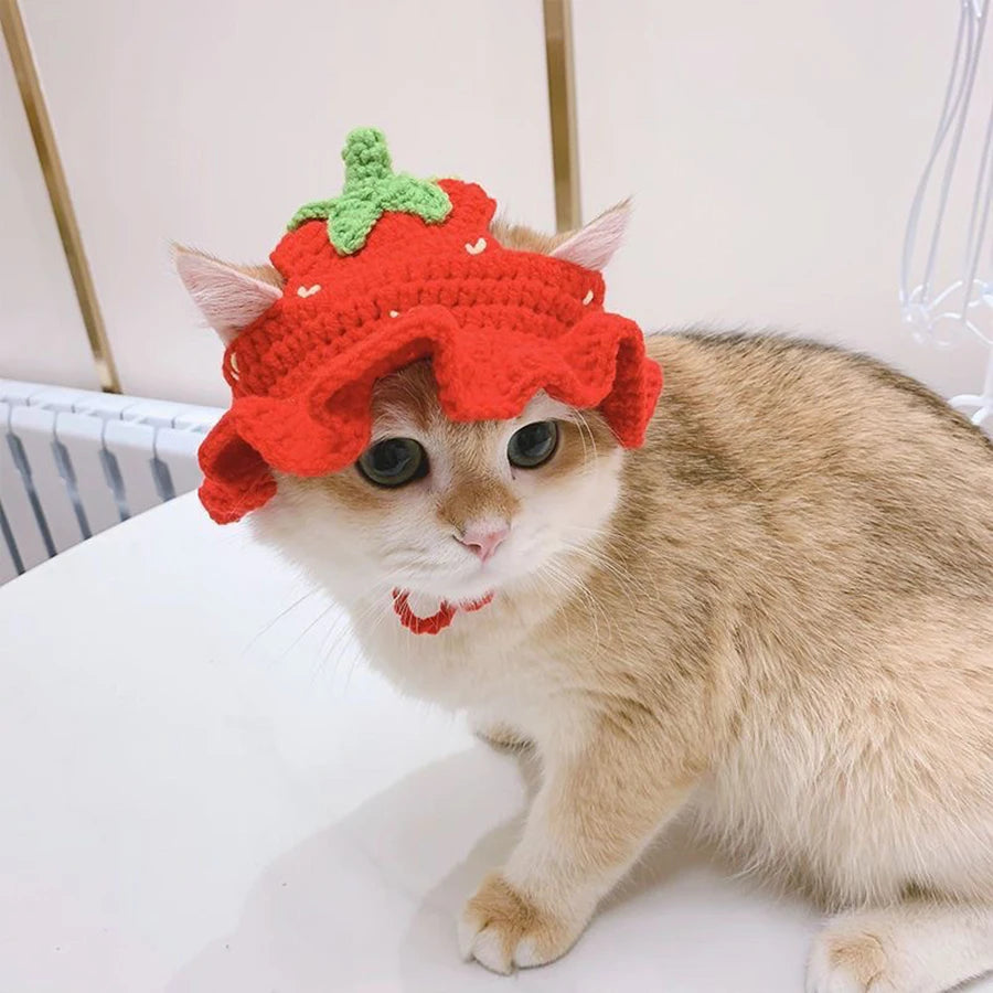 Pet Headgear Cat and Dog Knitted Hat Cospaly Props Headwear Funny Transformation Clothing