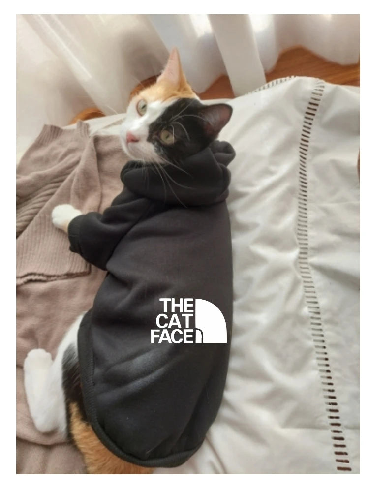 cat outfits fashion cat cool clothes autumn winter puppy kitty letter printed  hoodies accesorios kitten clothes jumper designer