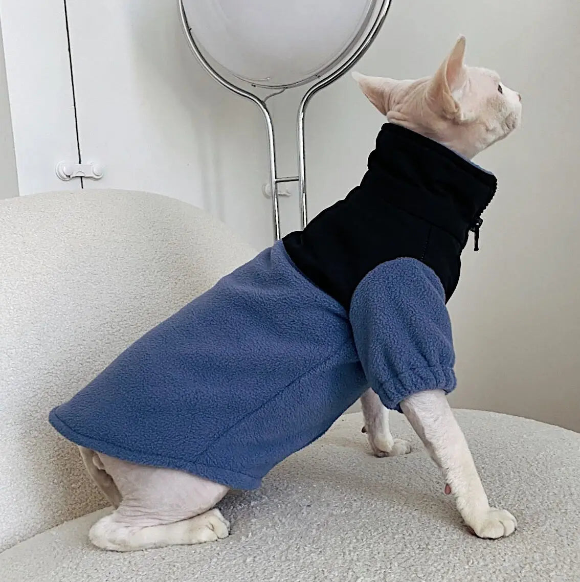 Luxury Winter Undershirt for Sphynx Cat Reflective Pet Clothes Reflective Pet Clothes Cat Jacket Devon Rex Sweatshirt in Autumn