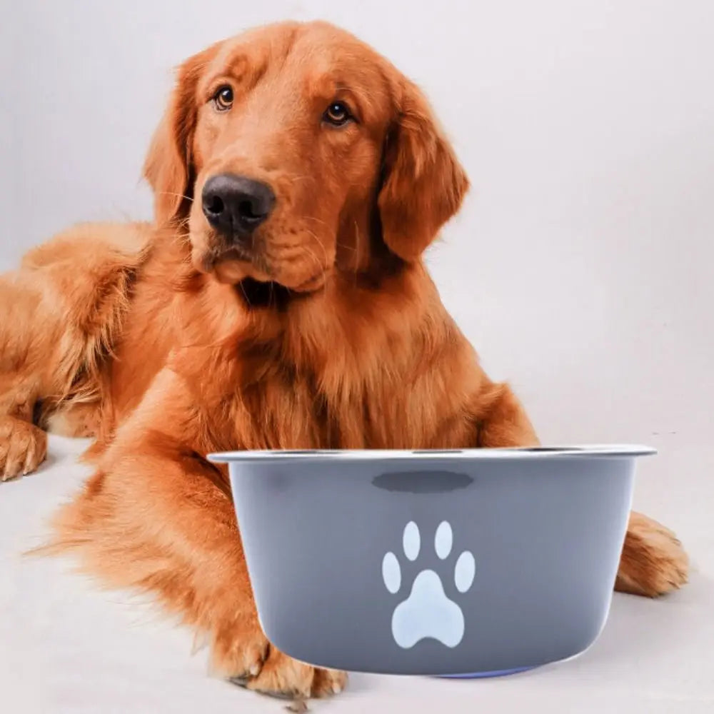 Large Capacity Stainless Steel Dog Bowl Non-slip Bilayer Dog Water Bowl Pet Feeders Cat Paw Pattern Cat Feeding Bowl Home