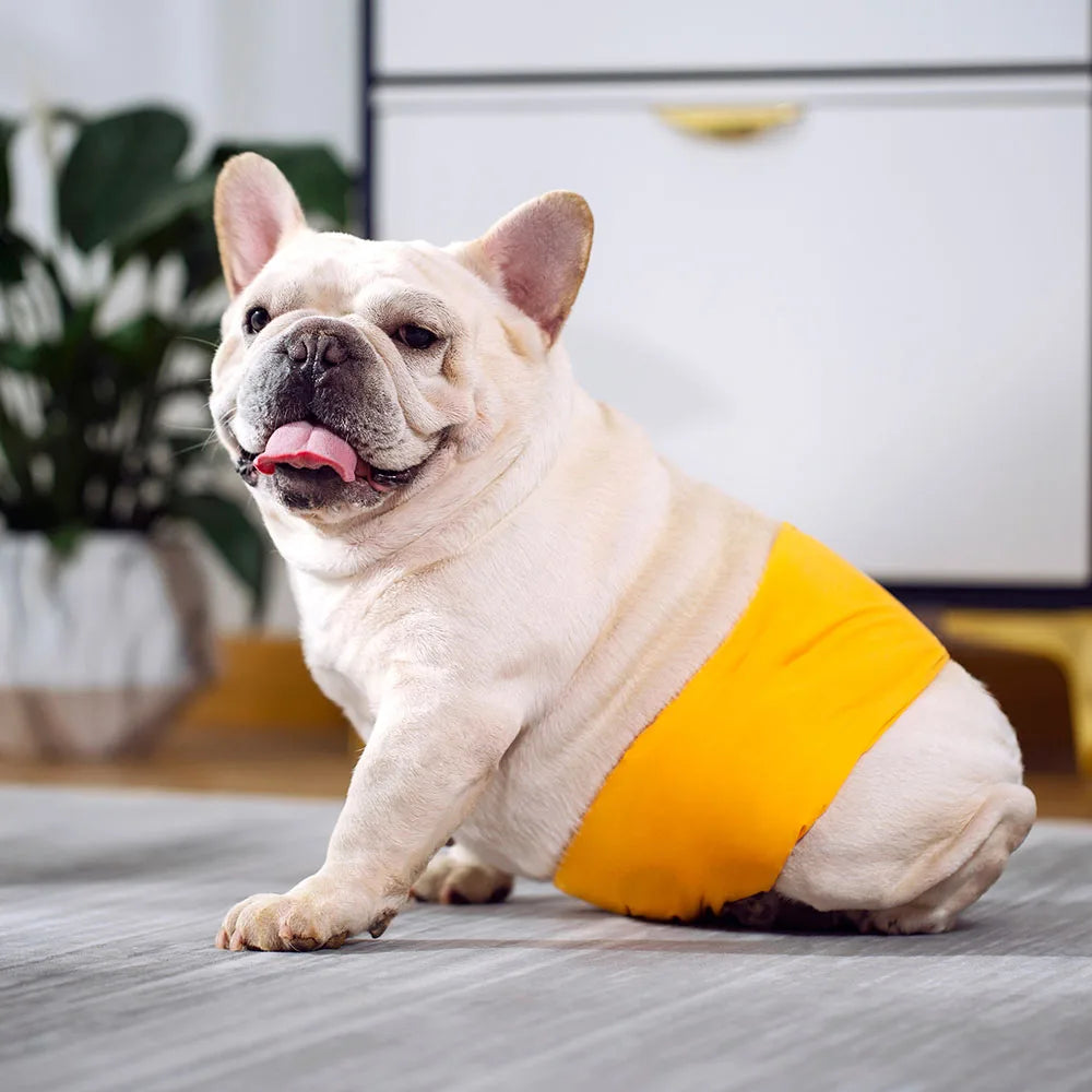 Male Dogs Belly Bands Reusable Boy Dogs Diapers Washable for Small Medium Large Dogs Soft Adjustable Pet Dog Physiological Pants