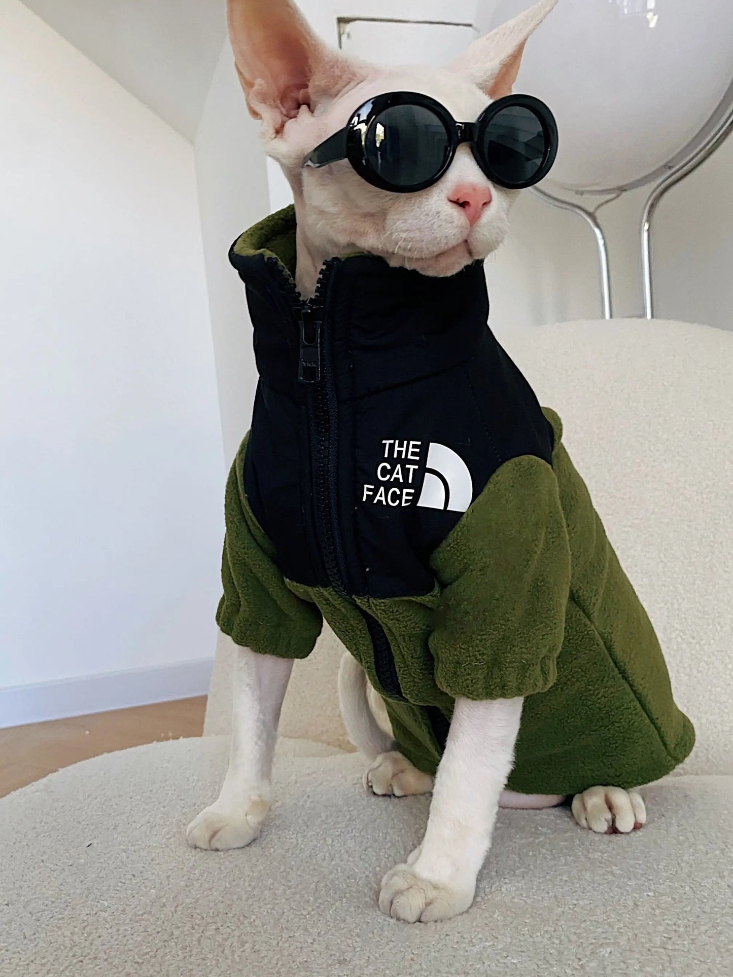 Luxury Winter Undershirt for Sphynx Cat Reflective Pet Clothes Reflective Pet Clothes Cat Jacket Devon Rex Sweatshirt in Autumn