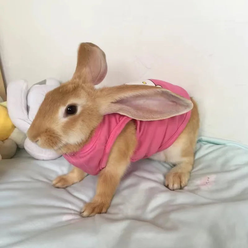 Pet Vest for Rabbit Cats Summer Breathable Rabbits Clothes Non-stick Hair Sweet Print Bunny Clothing Pajamas ubranko dla kota