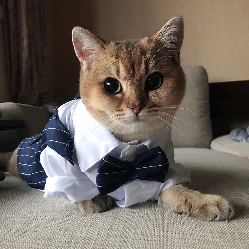 Handsome Cat Dog Party Suit Clothing Solid Fashion Pet Jacket for Cats Small Dogs Wedding Birthday Partying Clothes Costume