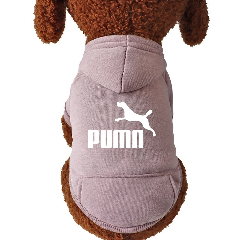 PUMN Pet Cat Hooded Sweater Thickened Warm For Winter Cat Clothes Kitty Small Dog Clothes