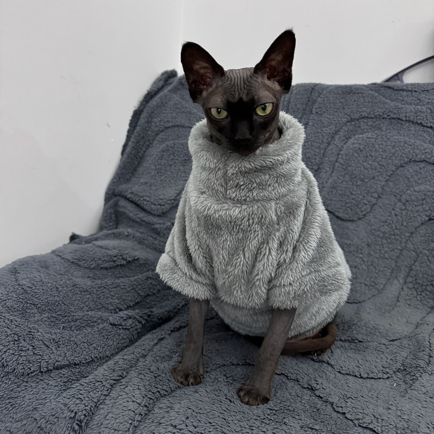 Pet Cat Sweater Home Fur Autumn and Winter Warm Solid Color Soft Arctic Velvet Skincare Suitable for Devonshire Cats, Hairless C