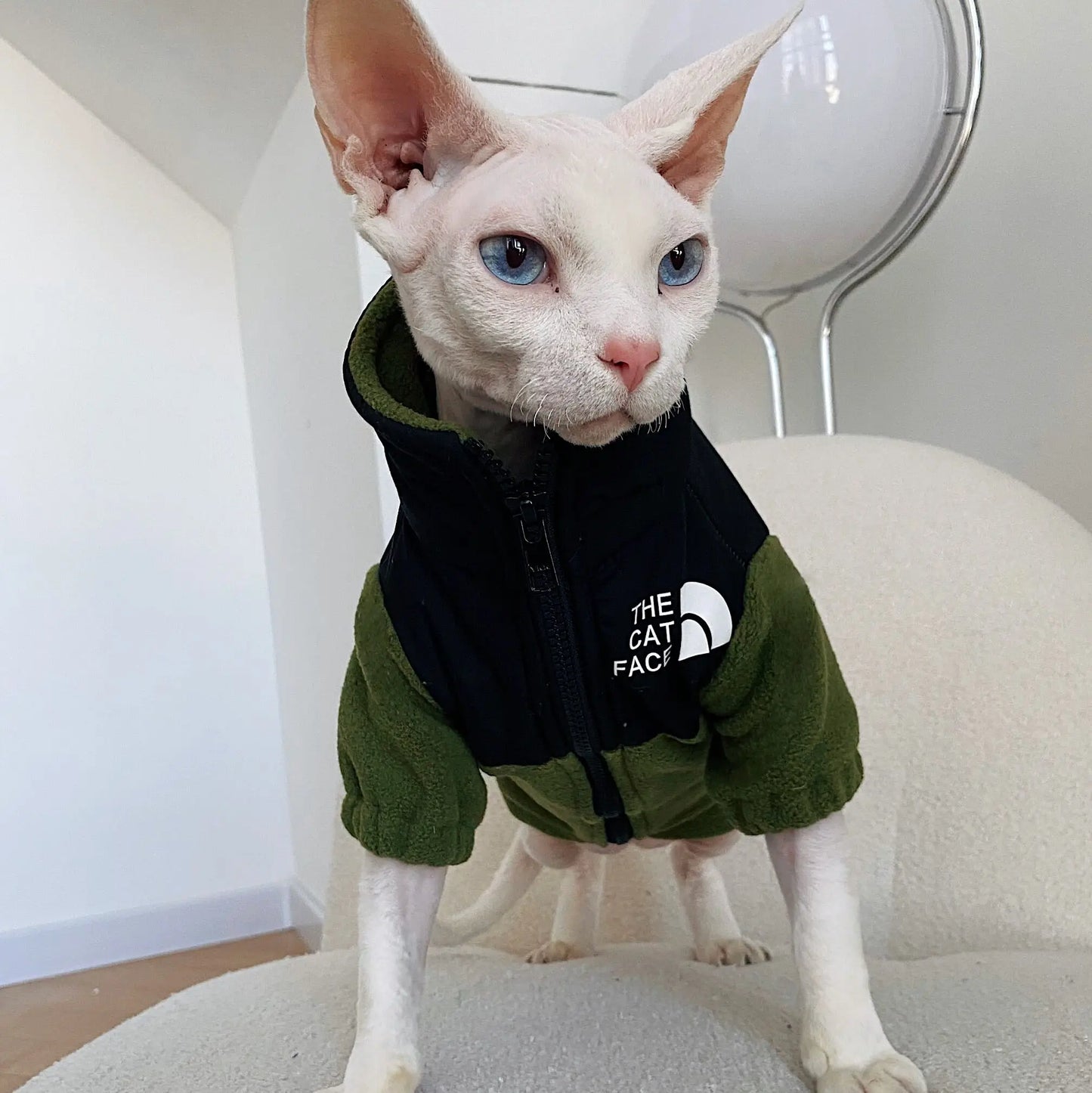 Luxury Winter Undershirt for Sphynx Cat Reflective Pet Clothes Reflective Pet Clothes Cat Jacket Devon Rex Sweatshirt in Autumn