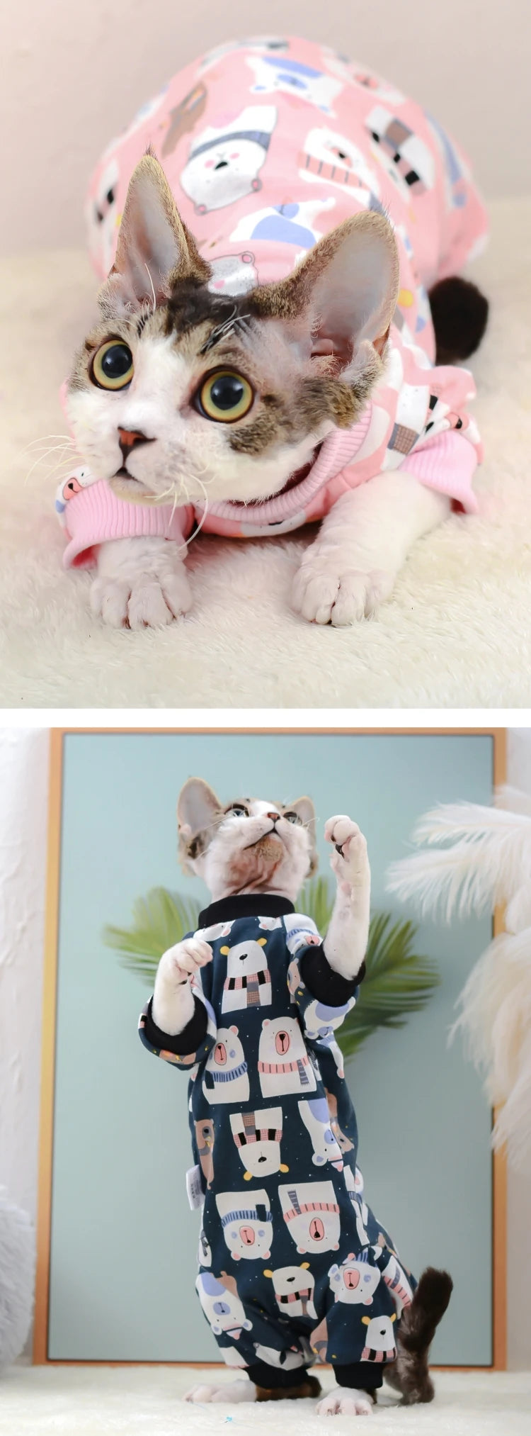 Sphynx Cat Clothes Cute Cotton Kitten Cat Jumpsuit Warm Cats Overalls Hoodies Costumes For Sphinx Devon Cat ropa para gato