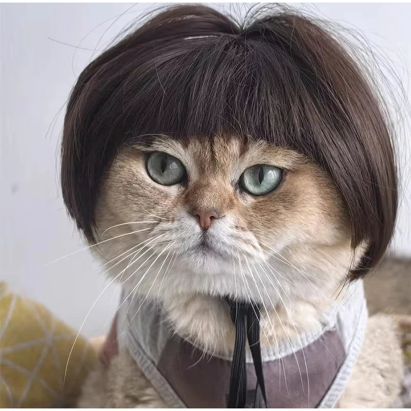 ﻿  Pet Wig,Cat Cosplay Props Curly Straight Hair,Puppy Costumes Supplies,Dog Creative Cross-Dressing Photography,Funny Prank