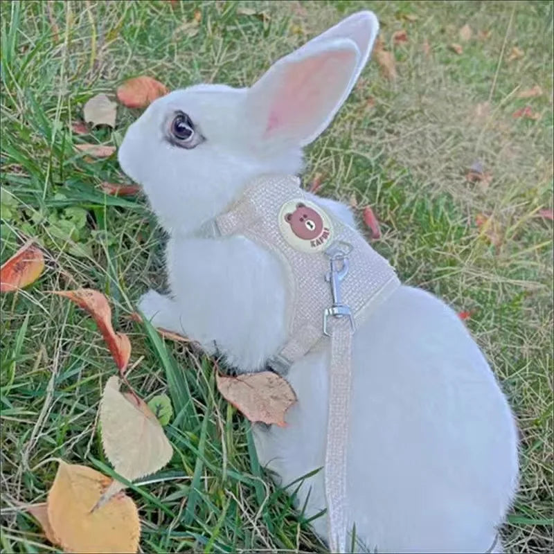 Newest Cute Rabbit Harness and Leash Set Bunny Pet Accessories Vest Harnesses Rabbit Leashes for Outdoor Walking Pets Supplies