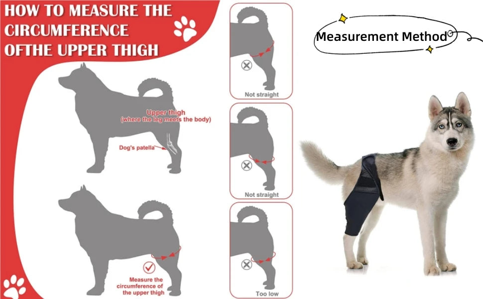 Pet Dog Knee Brace For Joint Pain Muscle Sore Leg Brace Rear Leg Bracer Support For Elderly Disabled Injured Dogs