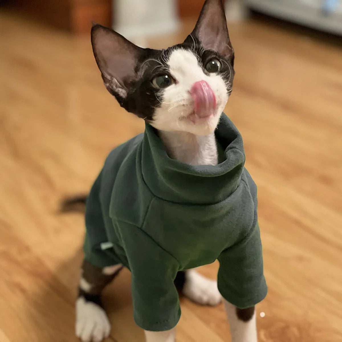 DUOMASUMI Sphynx Cat Clothes Self-heating Warm Thermal Underwear Clothes for Cat Sphynx Devin Konnis Hairless Cat Clothes