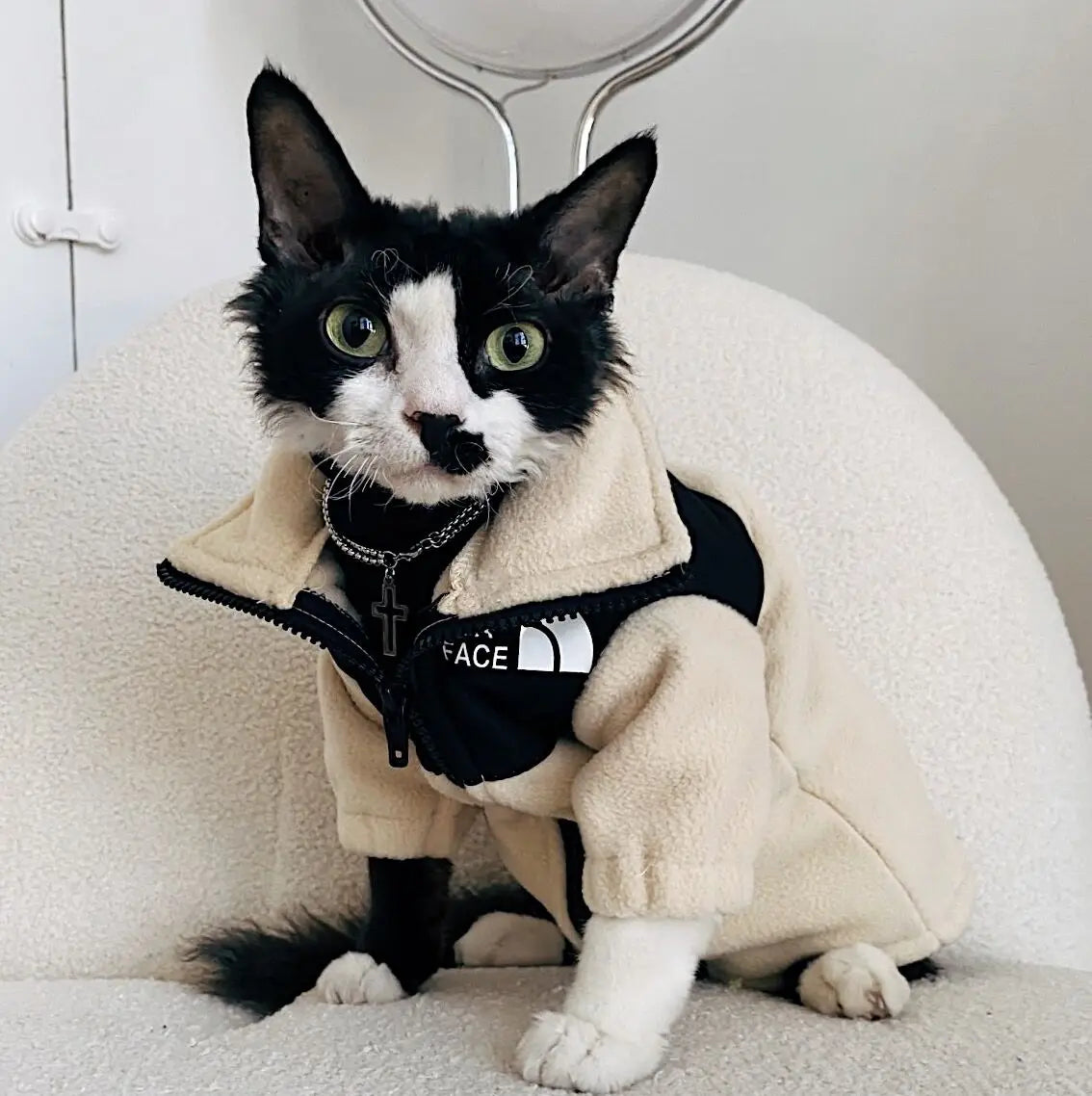 Luxury Winter Undershirt for Sphynx Cat Reflective Pet Clothes Reflective Pet Clothes Cat Jacket Devon Rex Sweatshirt in Autumn