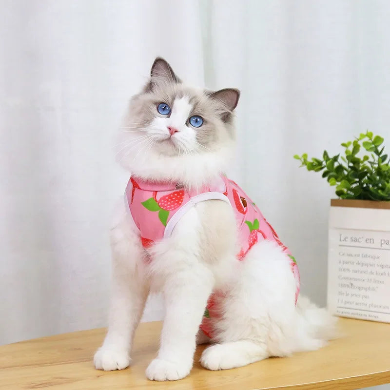 Pet Cats Weaning Clothes Breathable Elastic Vest Wound Protection Clothes Anti-mite Soft Cat Weaning Suit Clothing Pets Supplies