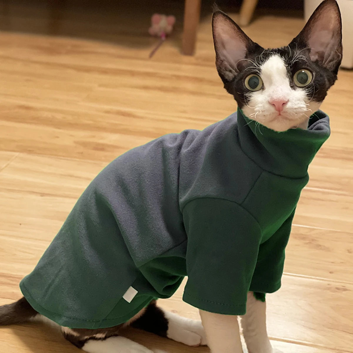 DUOMASUMI Sphynx Cat Clothes Baby Soft Cotton Fall Winter Kitten Clothes for Cornish Devon Cat Costume Hairless Cat Clothes