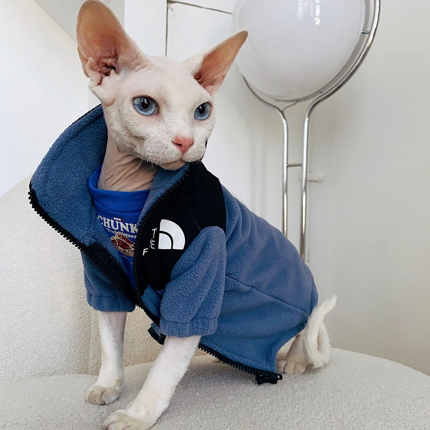 Luxury Winter Undershirt for Sphynx Cat Reflective Pet Clothes Reflective Pet Clothes Cat Jacket Devon Rex Sweatshirt in Autumn