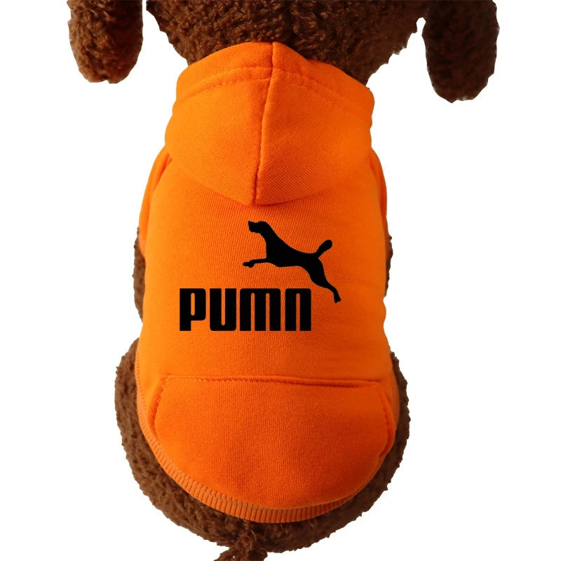 PUMN Pet Cat Hooded Sweater Thickened Warm For Winter Cat Clothes Kitty Small Dog Clothes