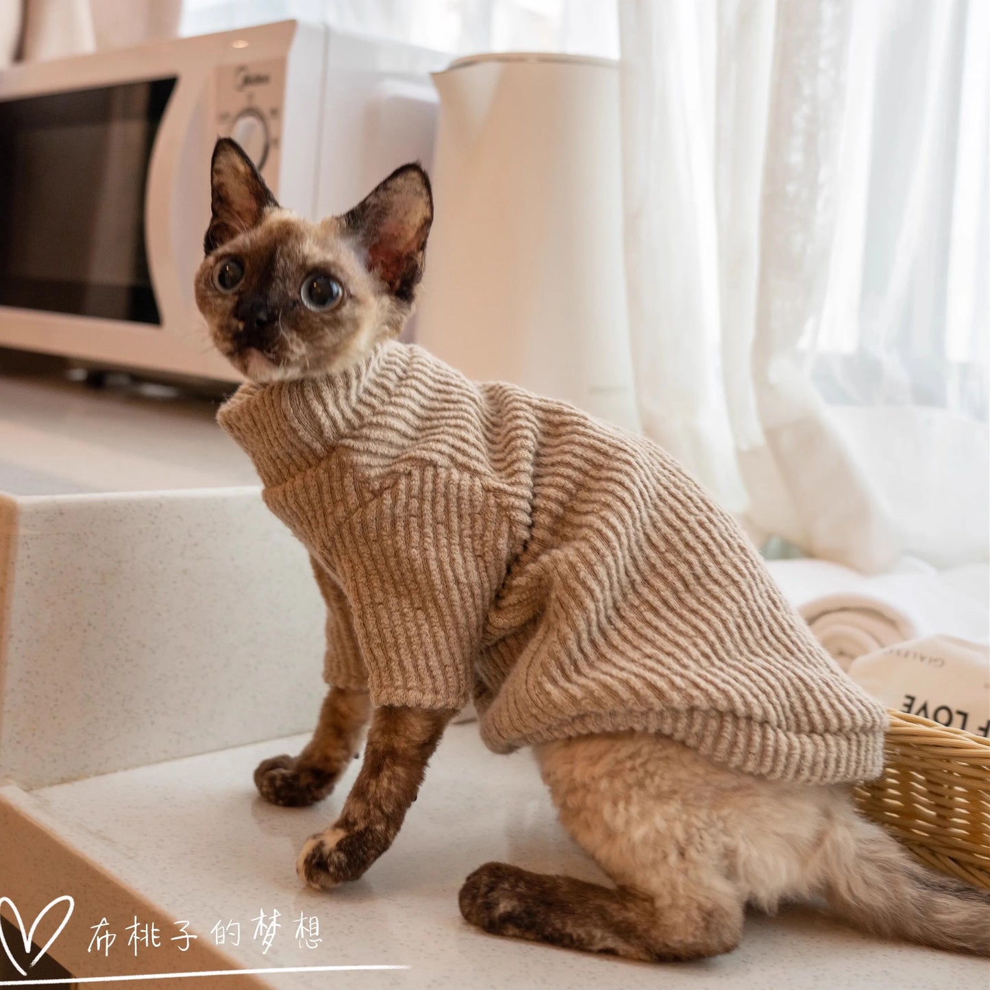 Sherpa Khaki Jacket Coat Suit for Sphynx Cat in Winter Thick Warm Sweater for Kittens Soft Coat for Devon Cat