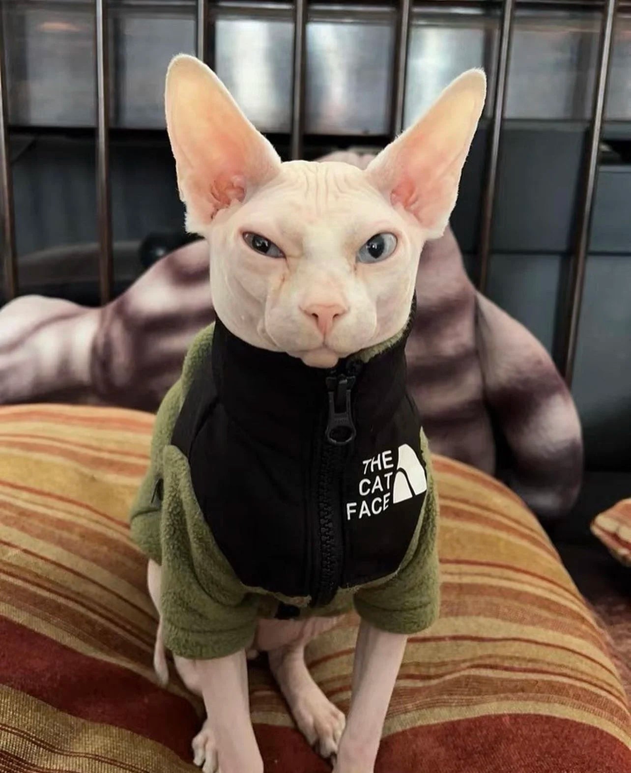 Luxury Winter Undershirt for Sphynx Cat Reflective Pet Clothes Reflective Pet Clothes Cat Jacket Devon Rex Sweatshirt in Autumn