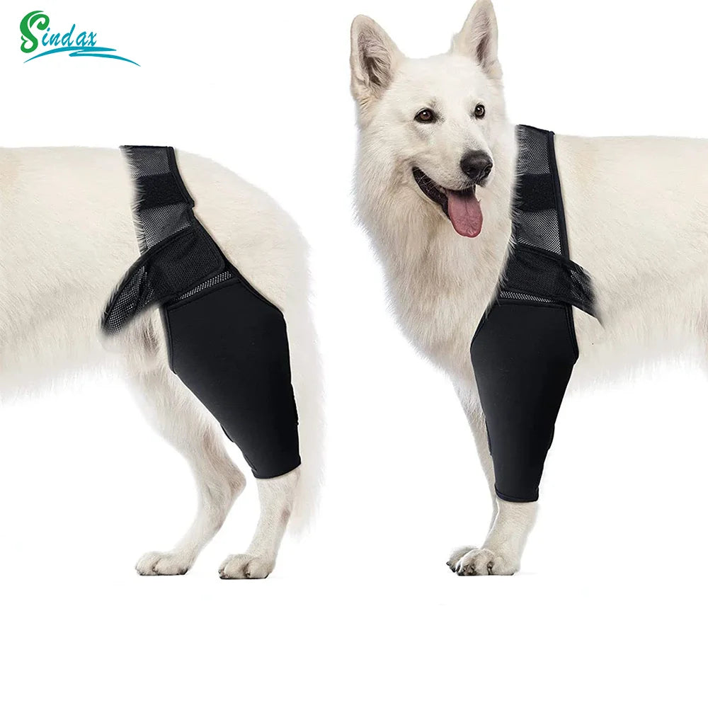 Pet Dog Knee Brace For Joint Pain Muscle Sore Leg Brace Rear Leg Bracer Support For Elderly Disabled Injured Dogs