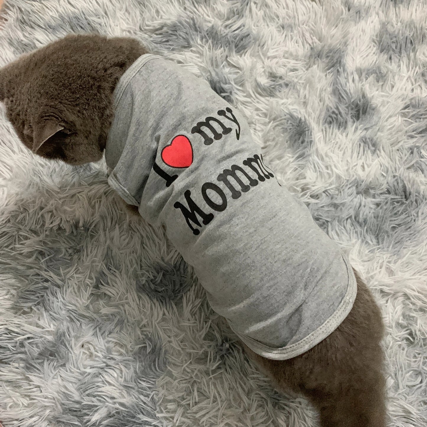 Lovely Pet Cat Clothes for Small Cats Dogs Summer Kitty Clothing Coat Soft Cotton Dog Shirt Yorkies Chihuahua Clothes for Cat 30