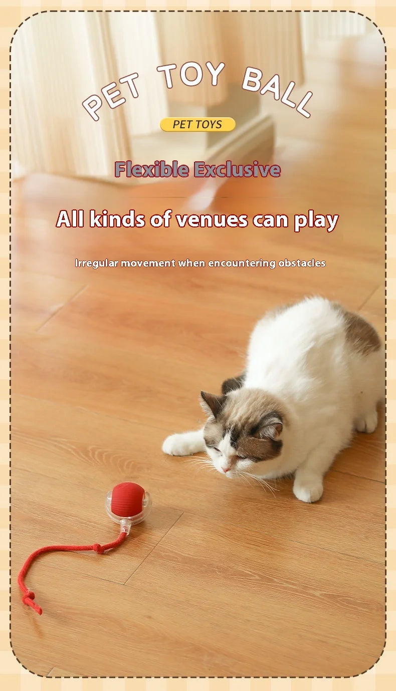 Cat Interactive Ball Toys Automatic Rolling Ball Faux Tail Rechargeable Smart Pet Electric Toy Dog Cat Training Imitate Mouse