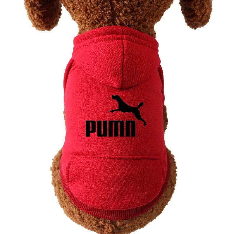 PUMN Pet Cat Hooded Sweater Thickened Warm For Winter Cat Clothes Kitty Small Dog Clothes