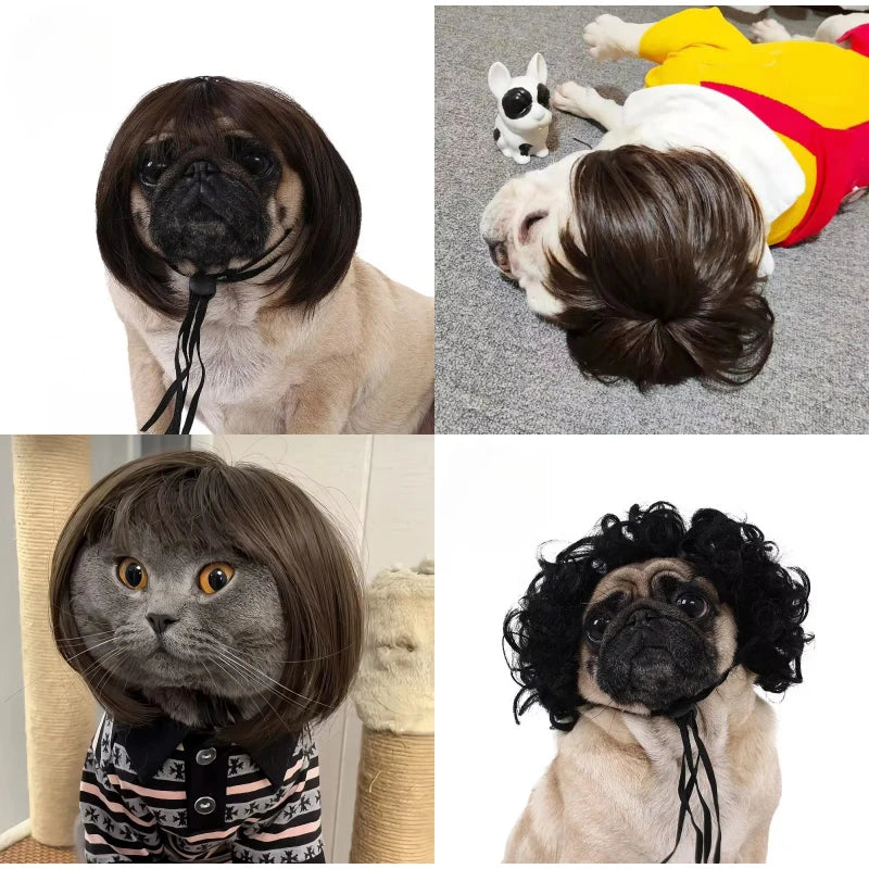 ﻿  Pet Wig,Cat Cosplay Props Curly Straight Hair,Puppy Costumes Supplies,Dog Creative Cross-Dressing Photography,Funny Prank