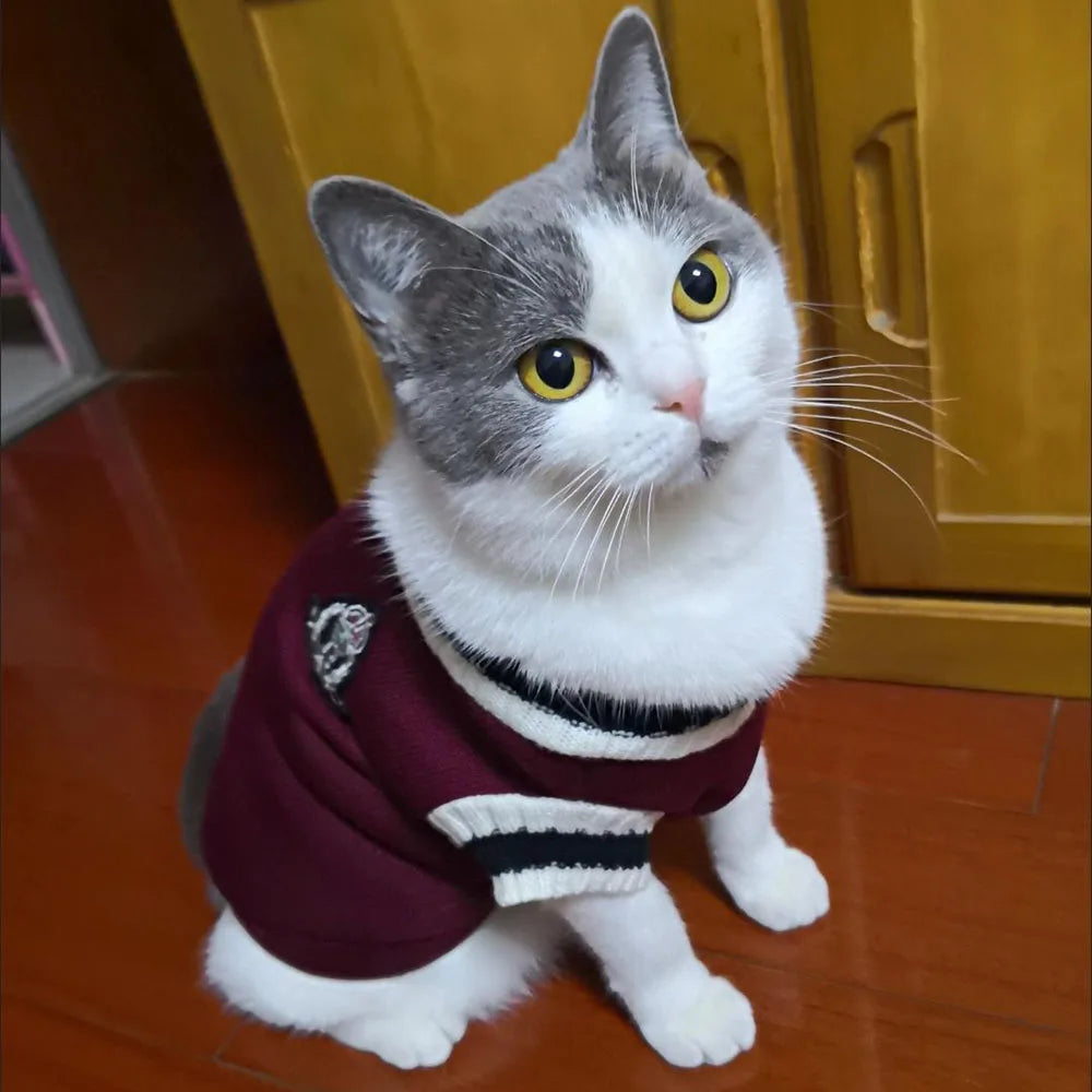 Dog Cat Sweater College Style V-neck Kitten Knitted Vest Shirt Pet Cat Puppy Winter Warm Clothes Knitwear Apparel for Small Dogs