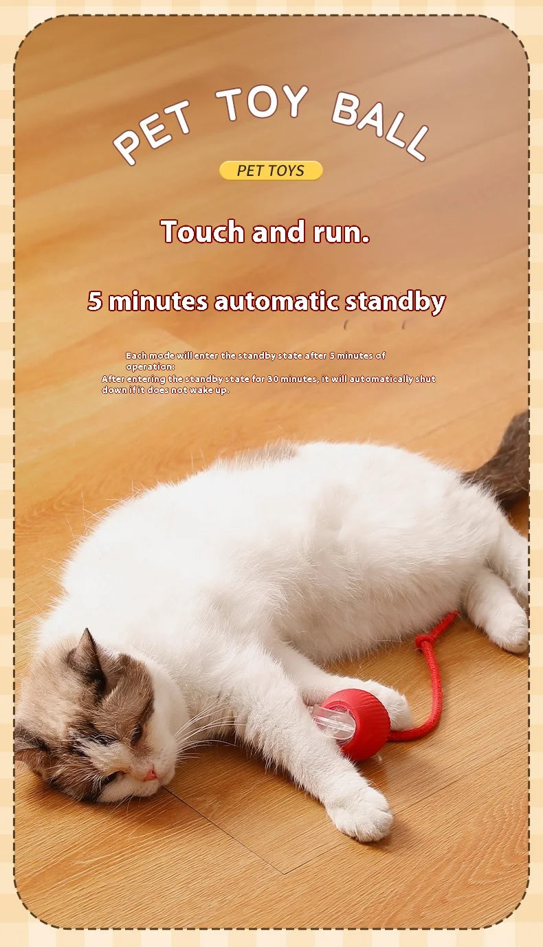 Cat Interactive Ball Toys Automatic Rolling Ball Faux Tail Rechargeable Smart Pet Electric Toy Dog Cat Training Imitate Mouse