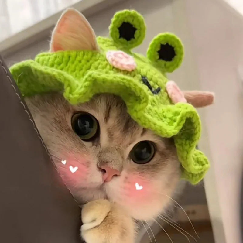 Cute Refined Cat Hat Elastic Autumn Winter Pet Hat Puppy Kittens Knitted Hat Party Photo Shoot Props Decoration Cat Accessories