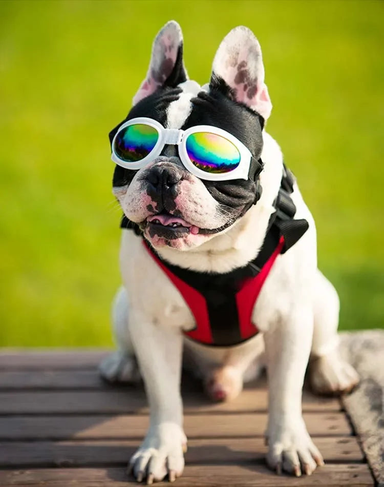 Pet Dog Fold Glasses Prevent UV Pet Glasses Fashion Sunglasses Pet Goggles Photo Prop Accessories for small dogs