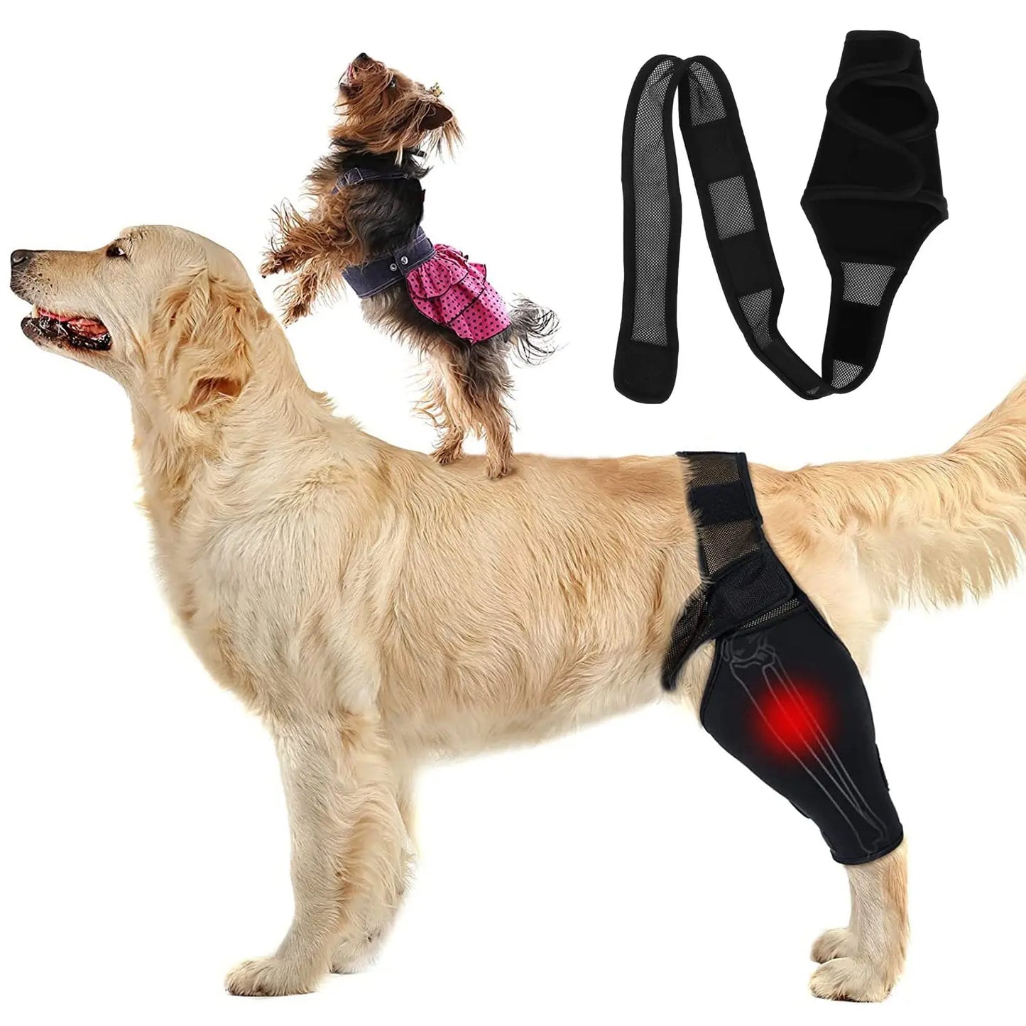 Pet Dog Knee Brace For Joint Pain Muscle Sore Leg Brace Rear Leg Bracer Support For Elderly Disabled Injured Dogs