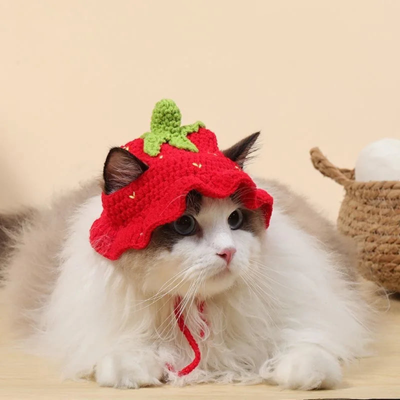 Pet Headgear Cat and Dog Knitted Hat Cospaly Props Headwear Funny Transformation Clothing