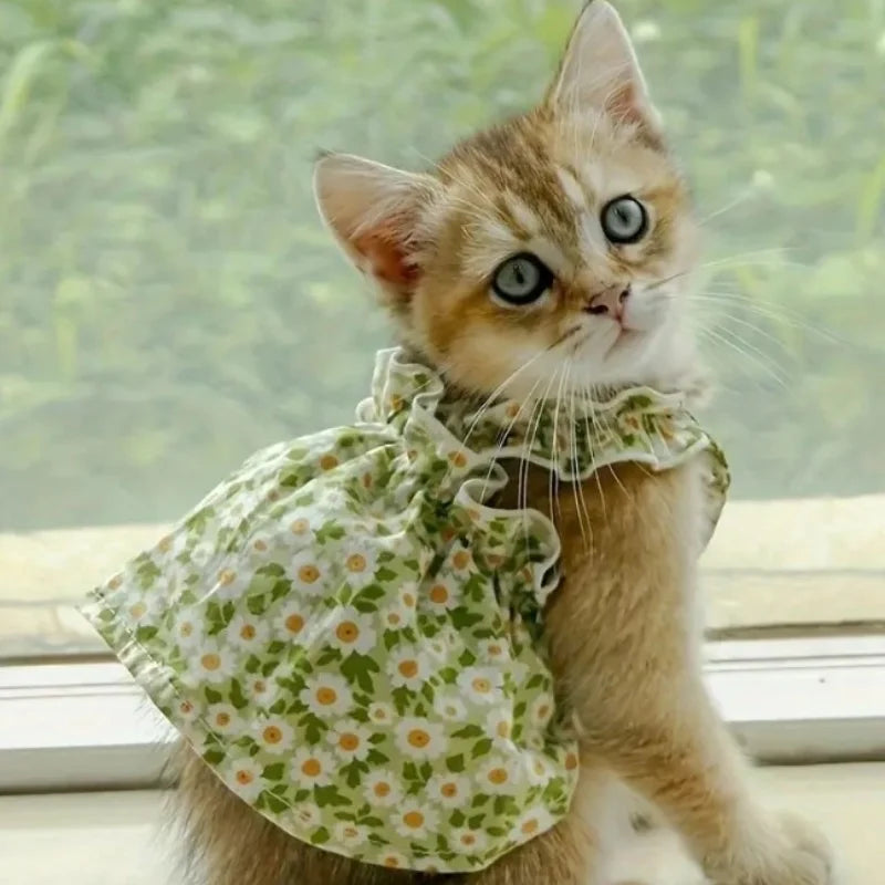 Pet Clothes Spring/Summer Small Cat/Dog Small Daisy Shoulder Strap Princess Dress Pet clothes Kitten/Dog Gentle dress