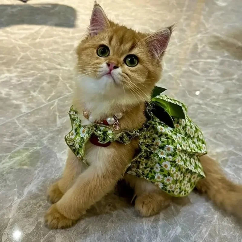 Pet Clothes Spring/Summer Small Cat/Dog Small Daisy Shoulder Strap Princess Dress Pet clothes Kitten/Dog Gentle dress