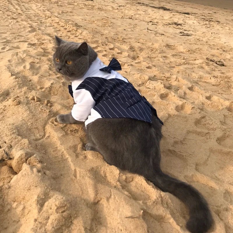 Handsome Cat Dog Party Suit Clothing Solid Fashion Pet Jacket for Cats Small Dogs Wedding Birthday Partying Clothes Costume